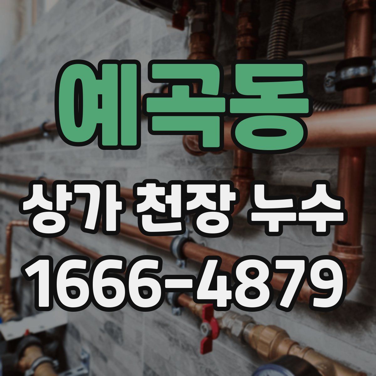 예곡동 상가 천장 누수