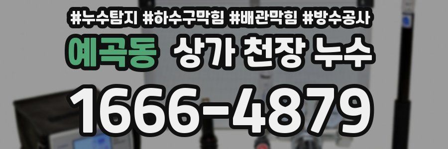 예곡동 상가 천장 누수