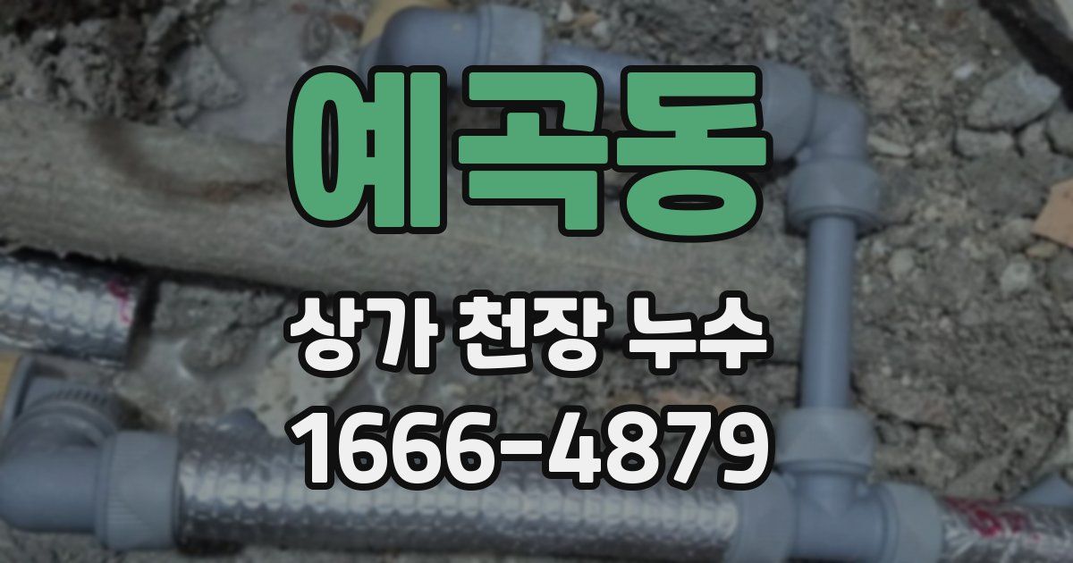 예곡동 상가 천장 누수
