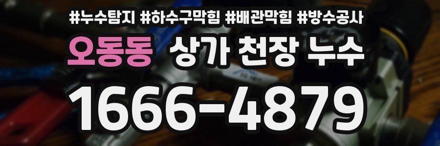 오동동 상가 천장 누수
