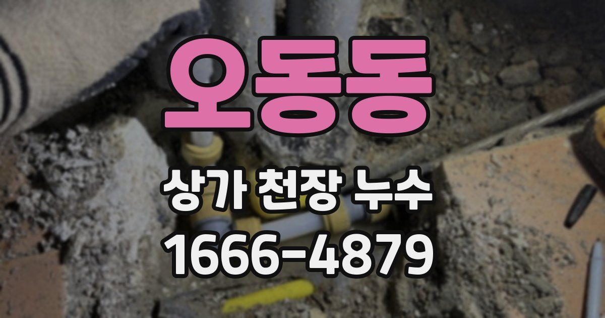 오동동 상가 천장 누수