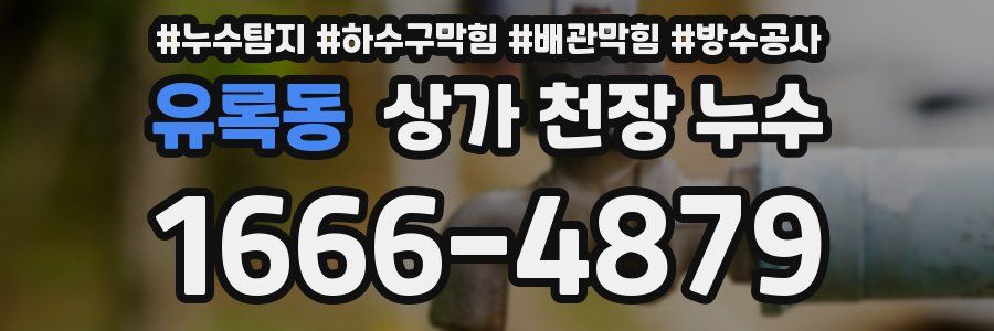 유록동 상가 천장 누수