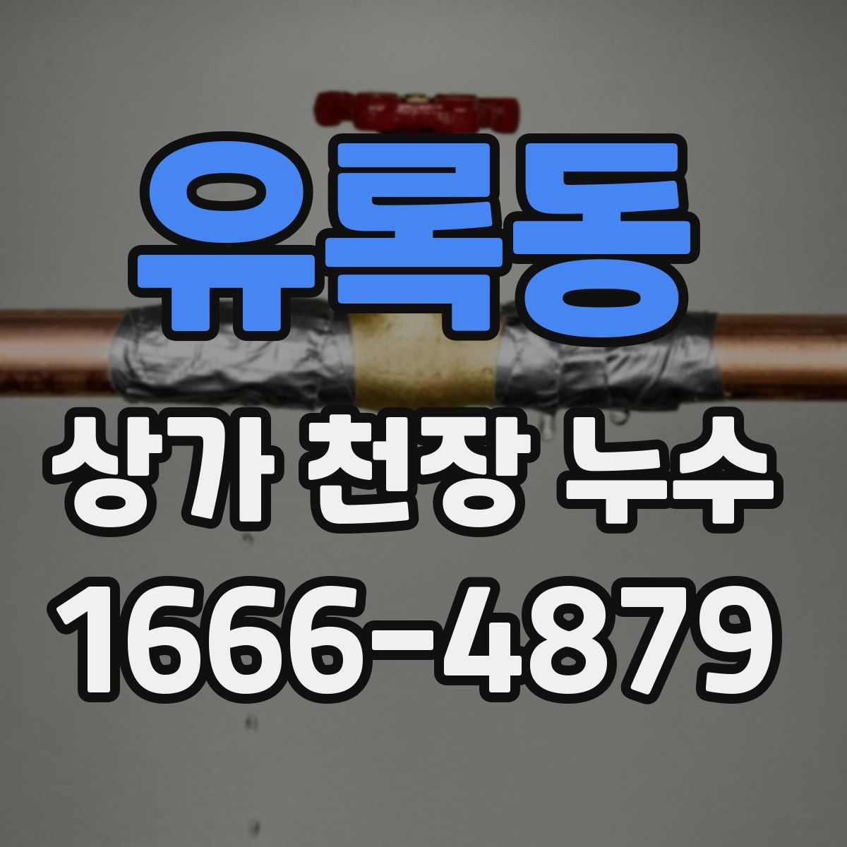 유록동 상가 천장 누수