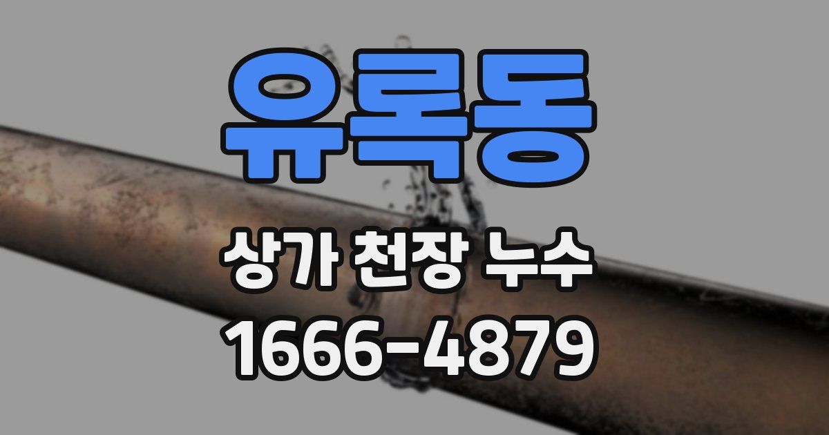 유록동 상가 천장 누수
