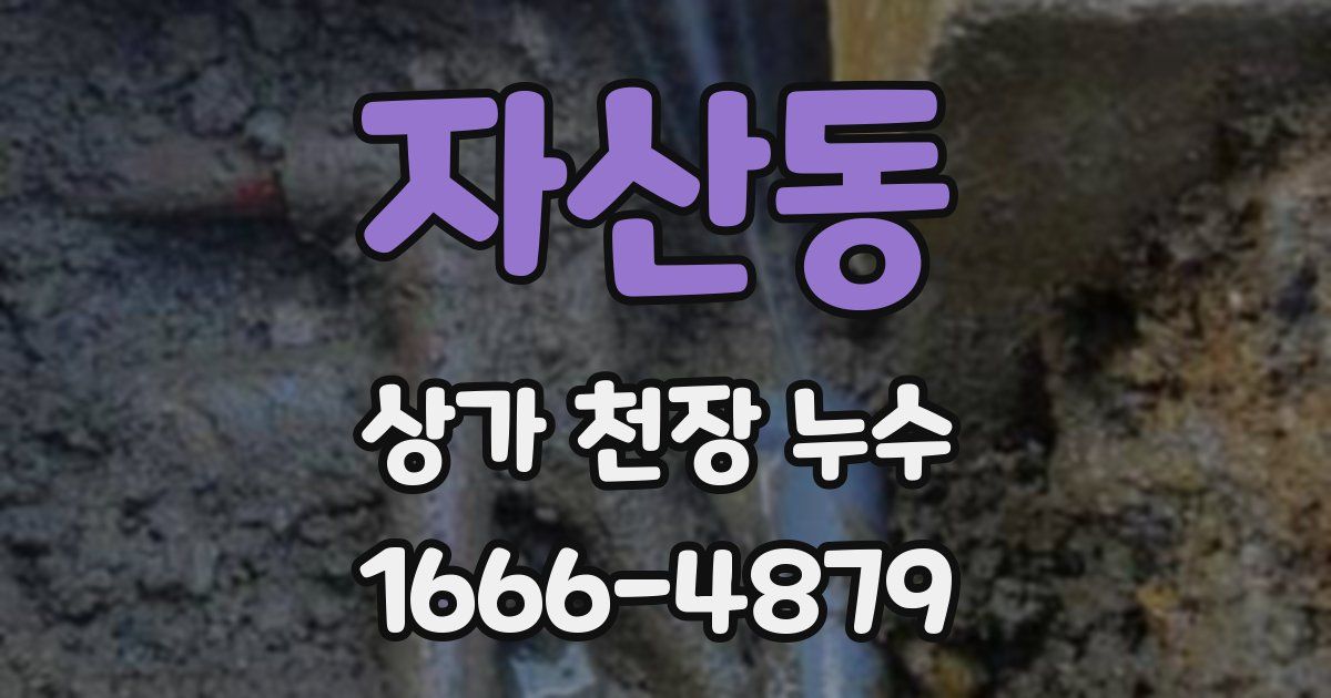 자산동 상가 천장 누수