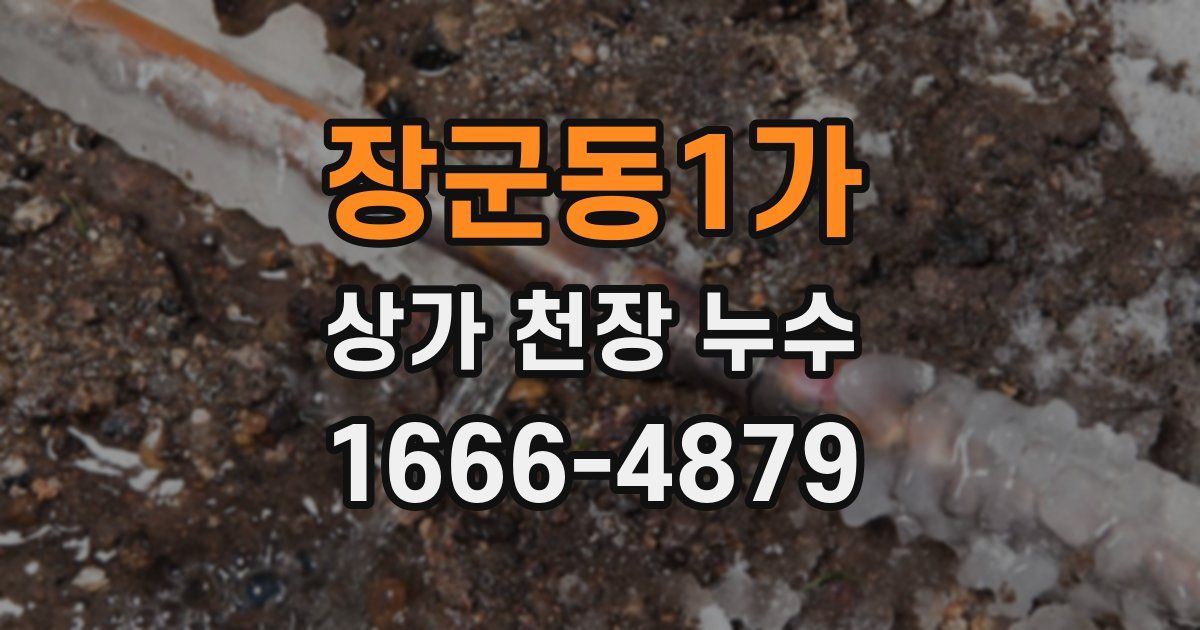 장군동1가 상가 천장 누수