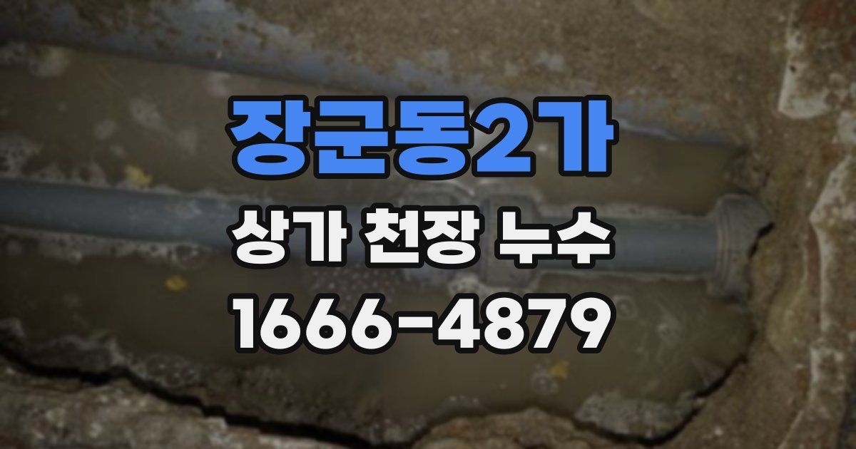장군동2가 상가 천장 누수
