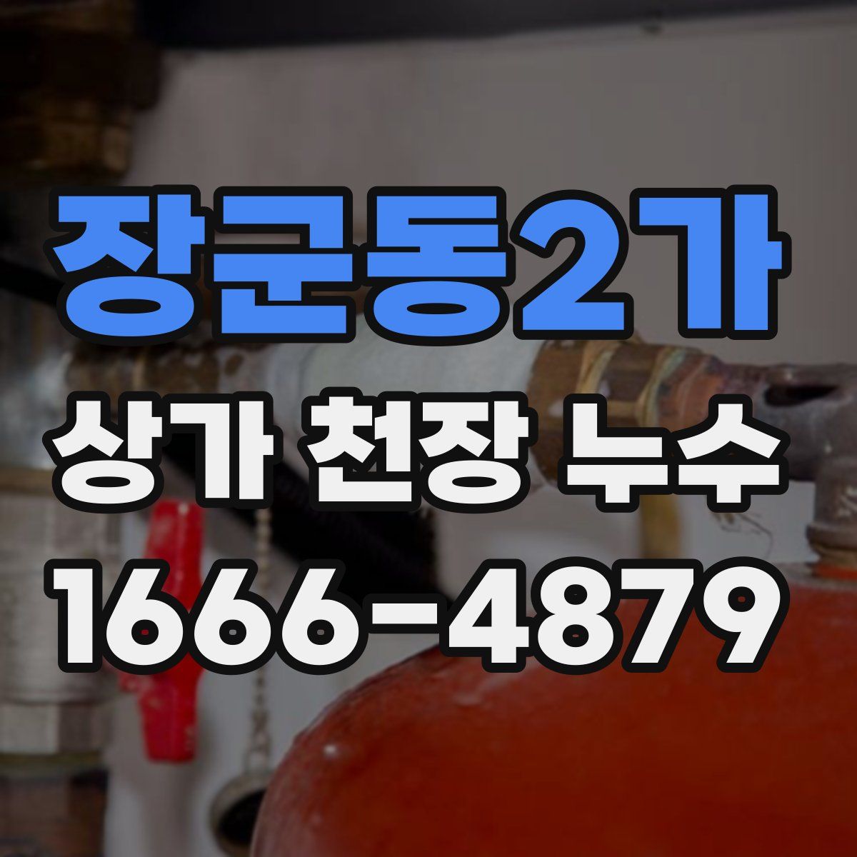 장군동2가 상가 천장 누수