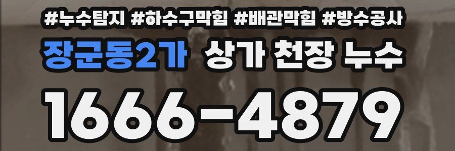 장군동2가 상가 천장 누수