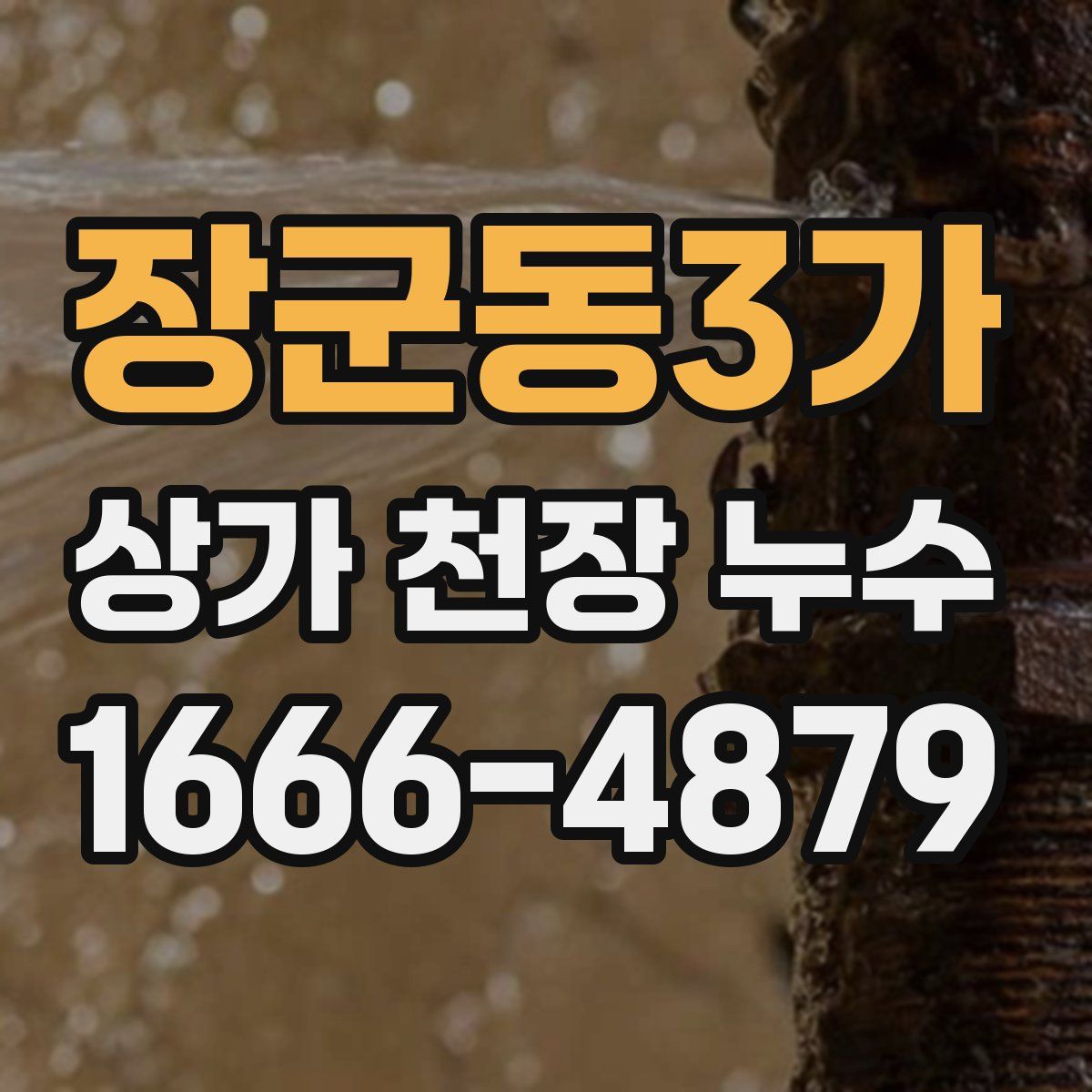 장군동3가 상가 천장 누수