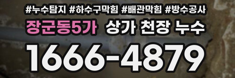 장군동5가 상가 천장 누수