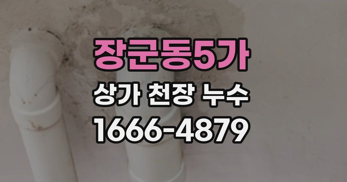 장군동5가 상가 천장 누수