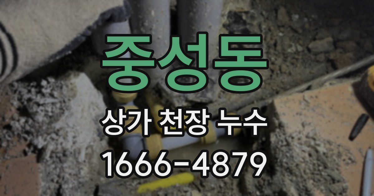 중성동 상가 천장 누수