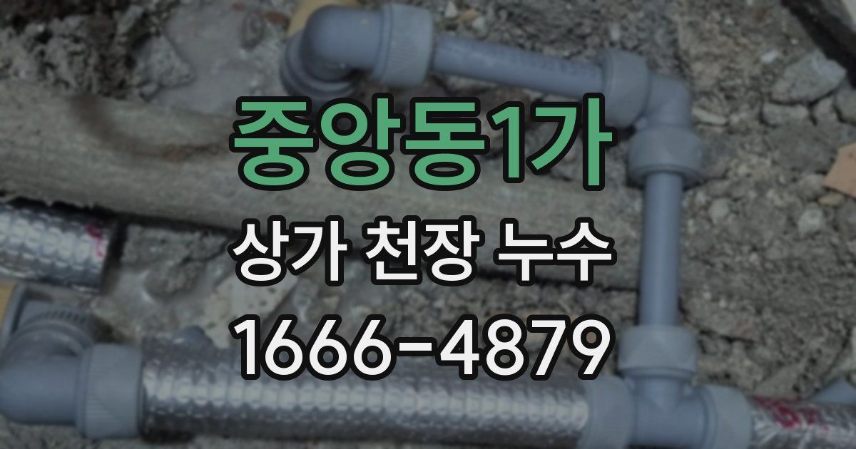 중앙동1가 상가 천장 누수