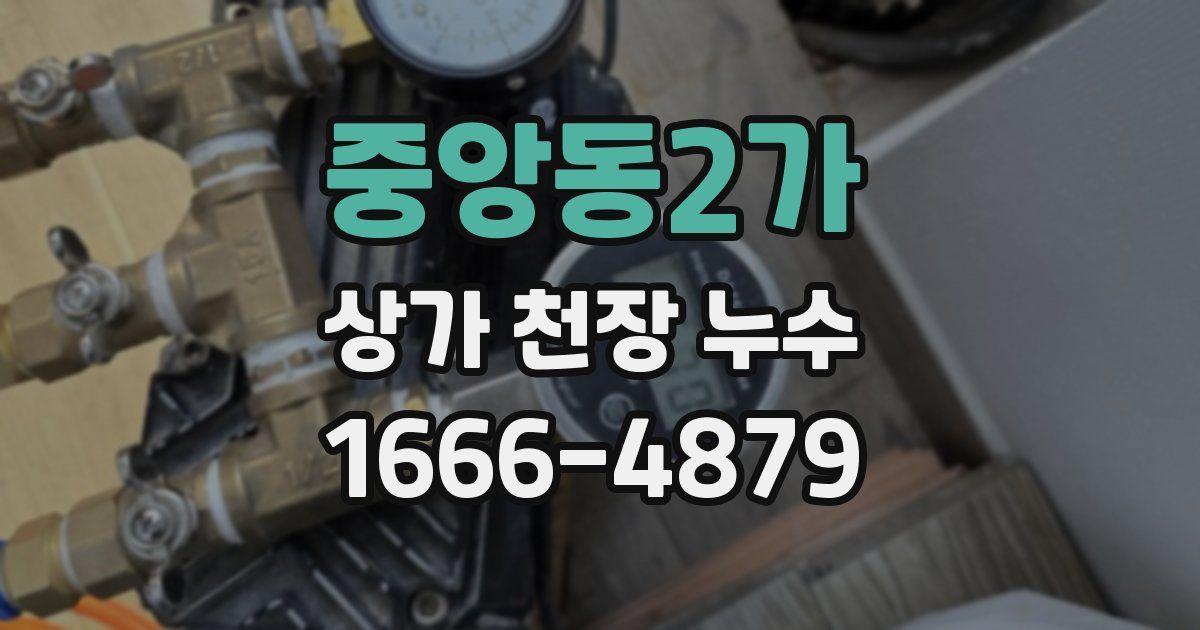중앙동2가 상가 천장 누수