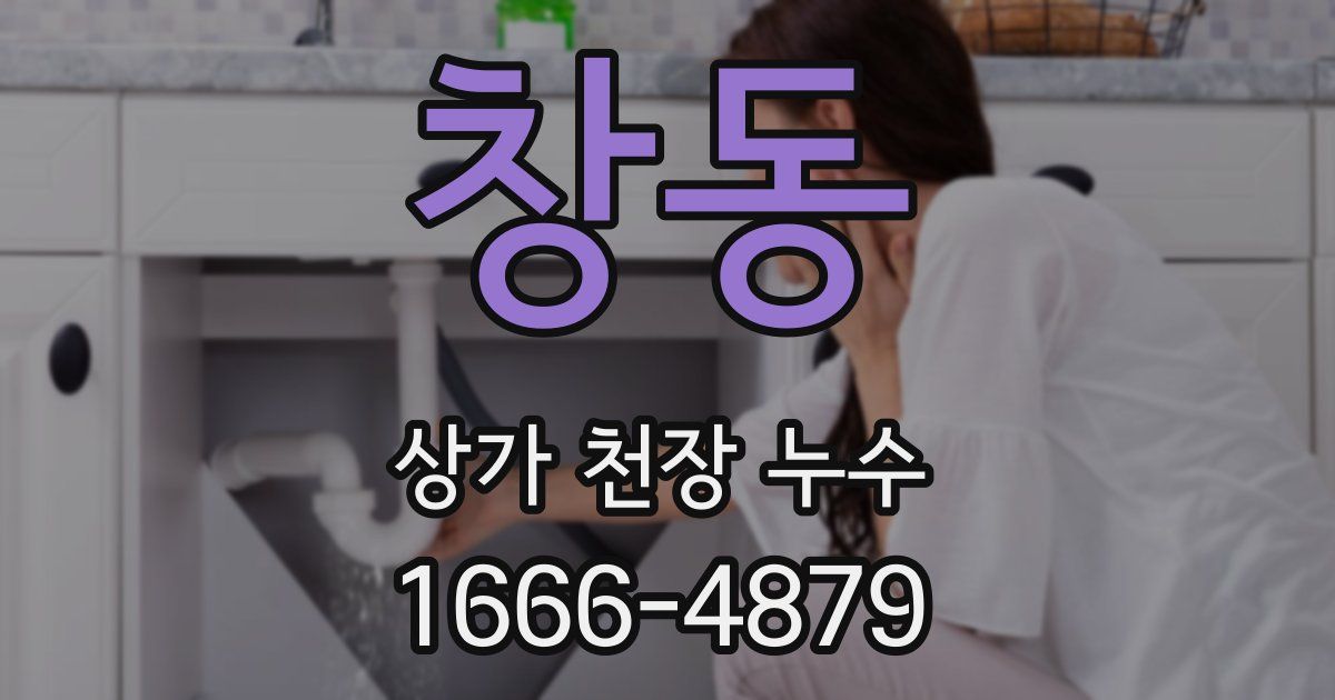창동 상가 천장 누수