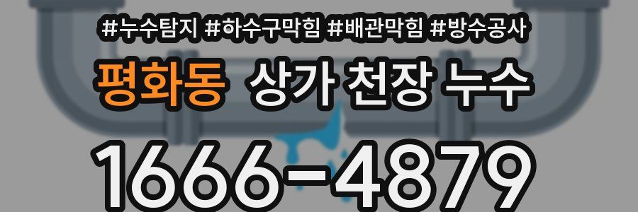 평화동 상가 천장 누수