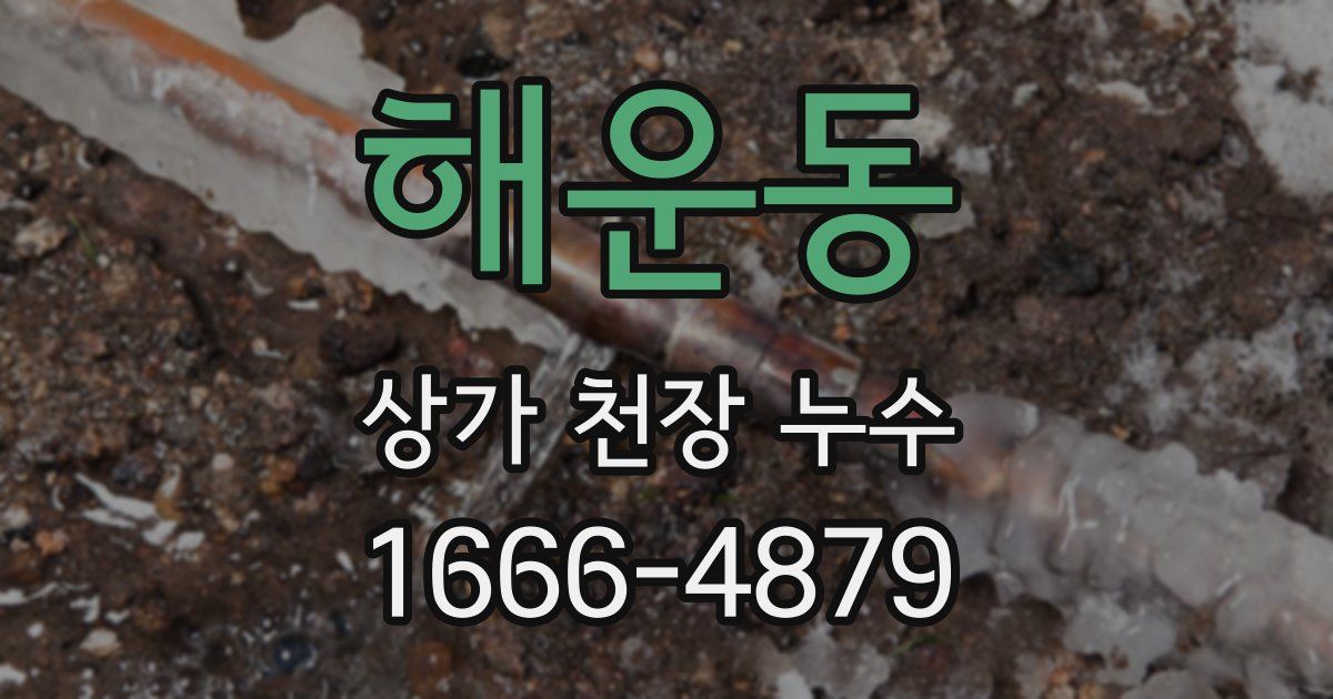 해운동 상가 천장 누수