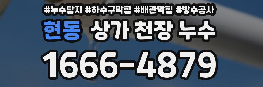 현동 상가 천장 누수