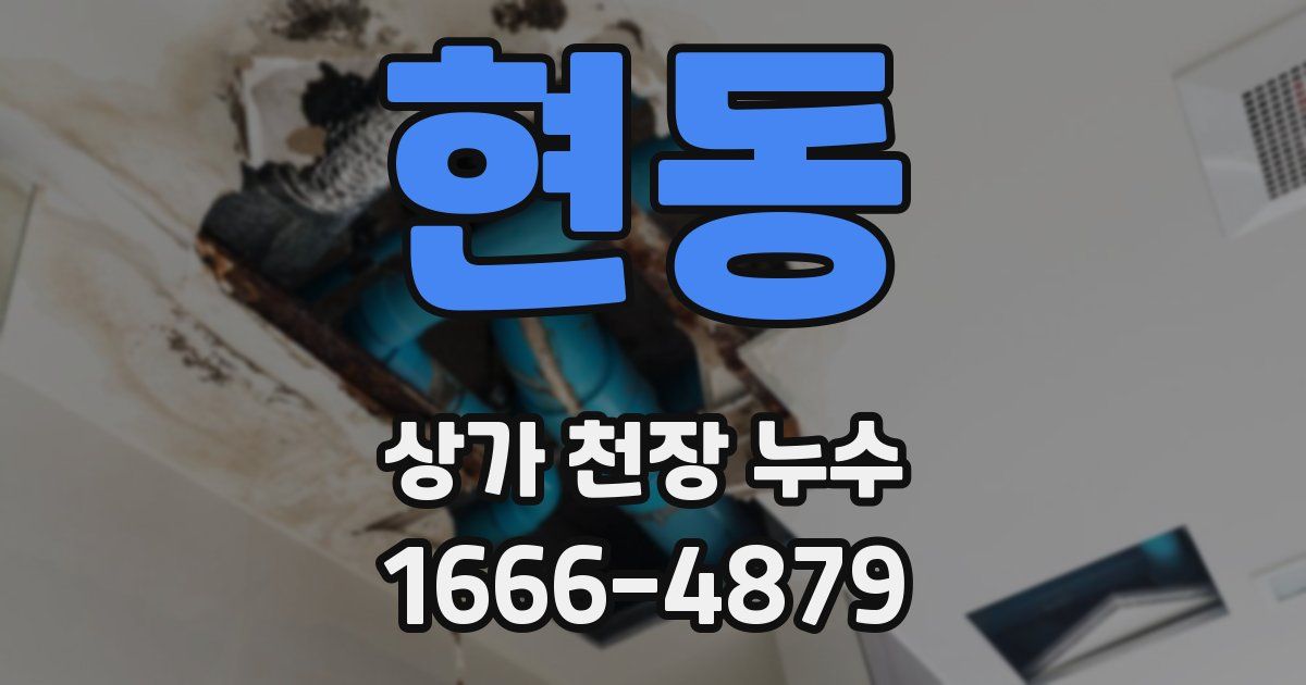 현동 상가 천장 누수