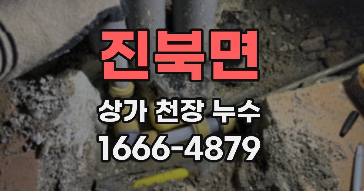 진북면 상가 천장 누수