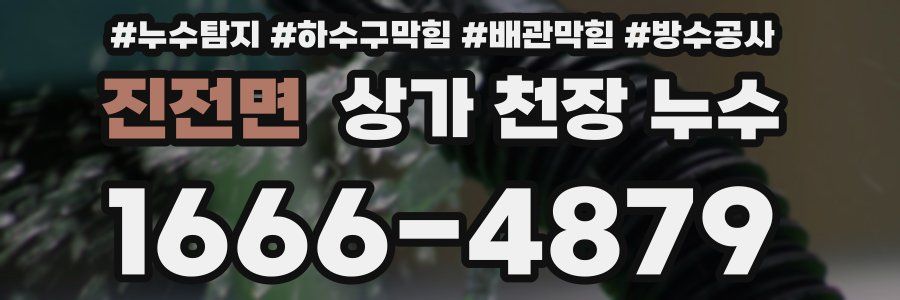 진전면 상가 천장 누수