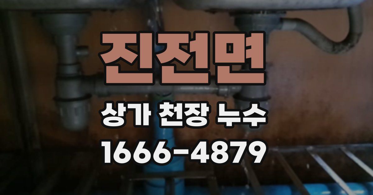 진전면 상가 천장 누수