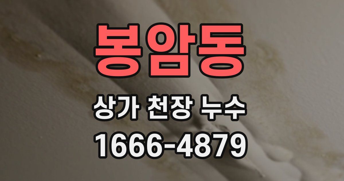 봉암동 상가 천장 누수