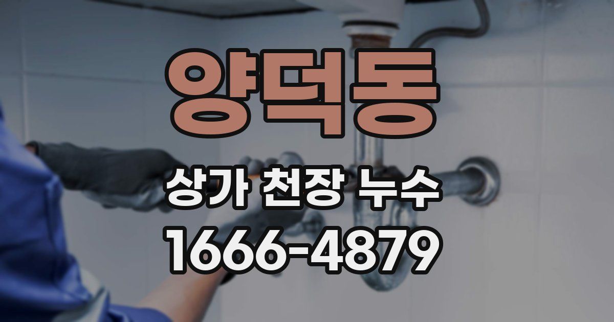 양덕동 상가 천장 누수