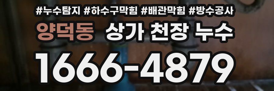 양덕동 상가 천장 누수