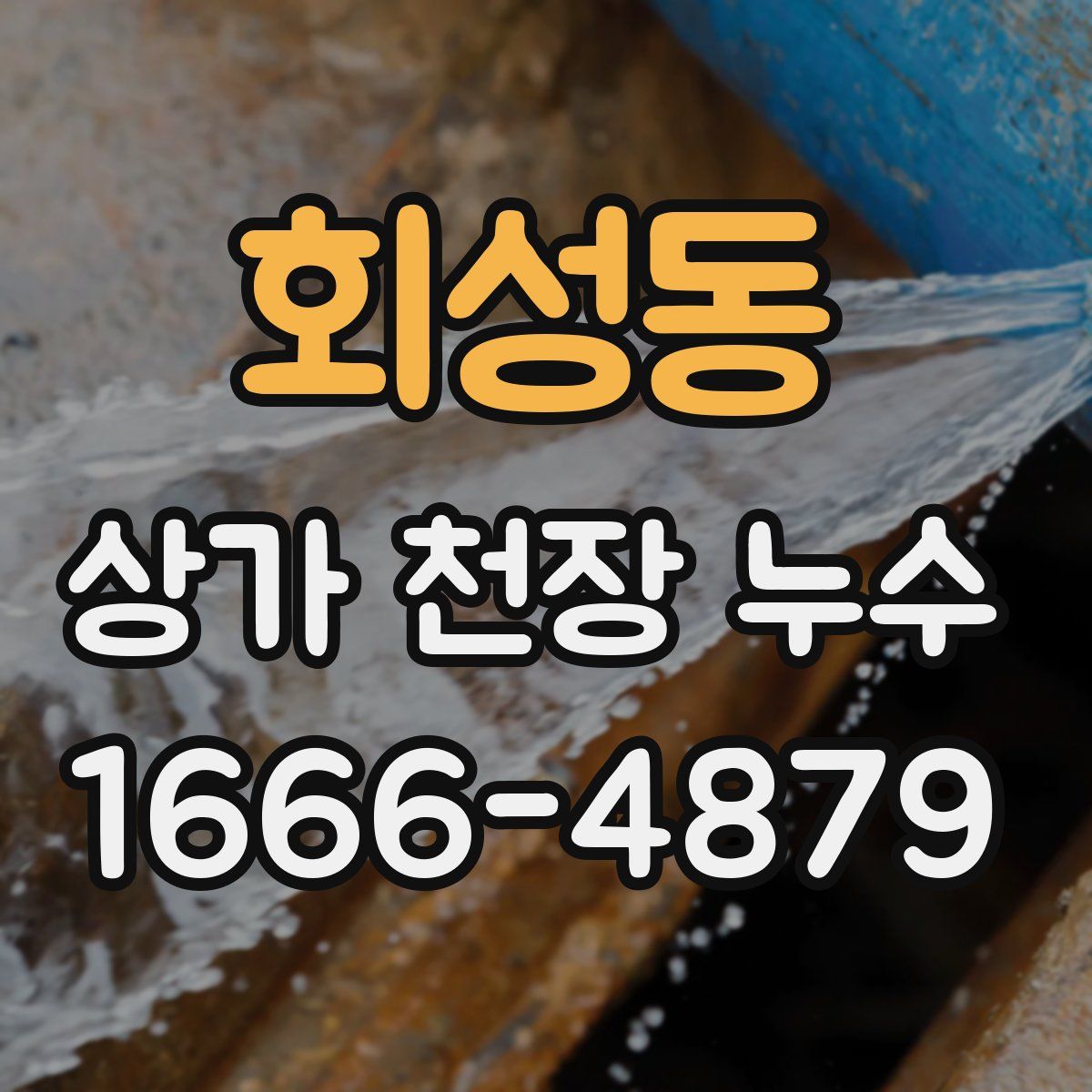 회성동 상가 천장 누수