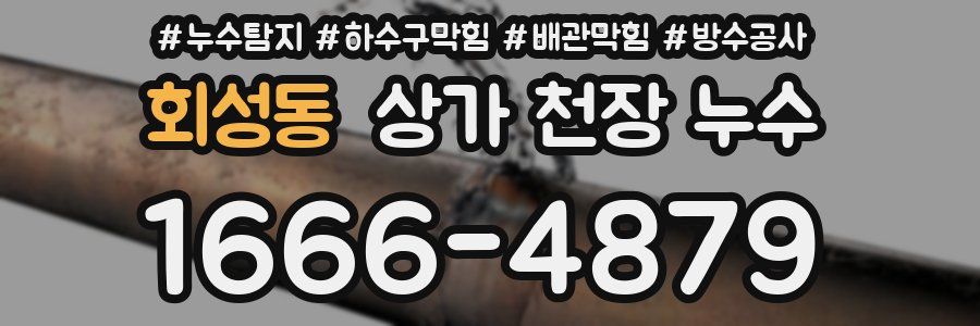 회성동 상가 천장 누수