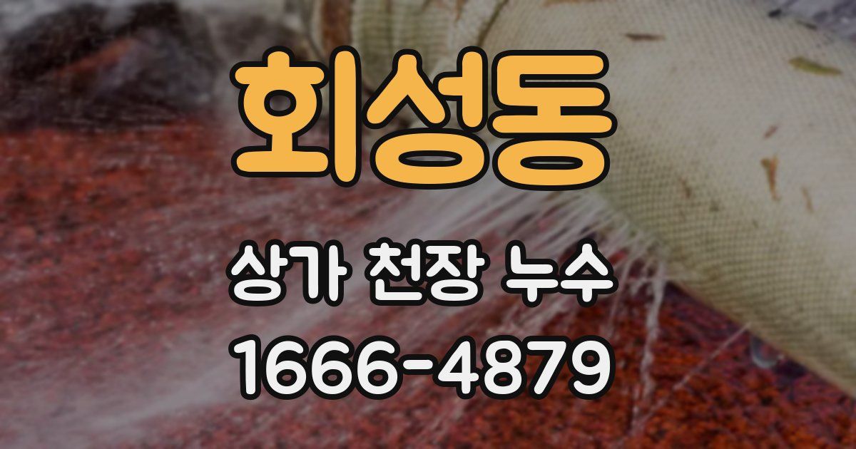 회성동 상가 천장 누수