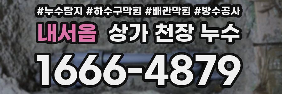 내서읍 상가 천장 누수