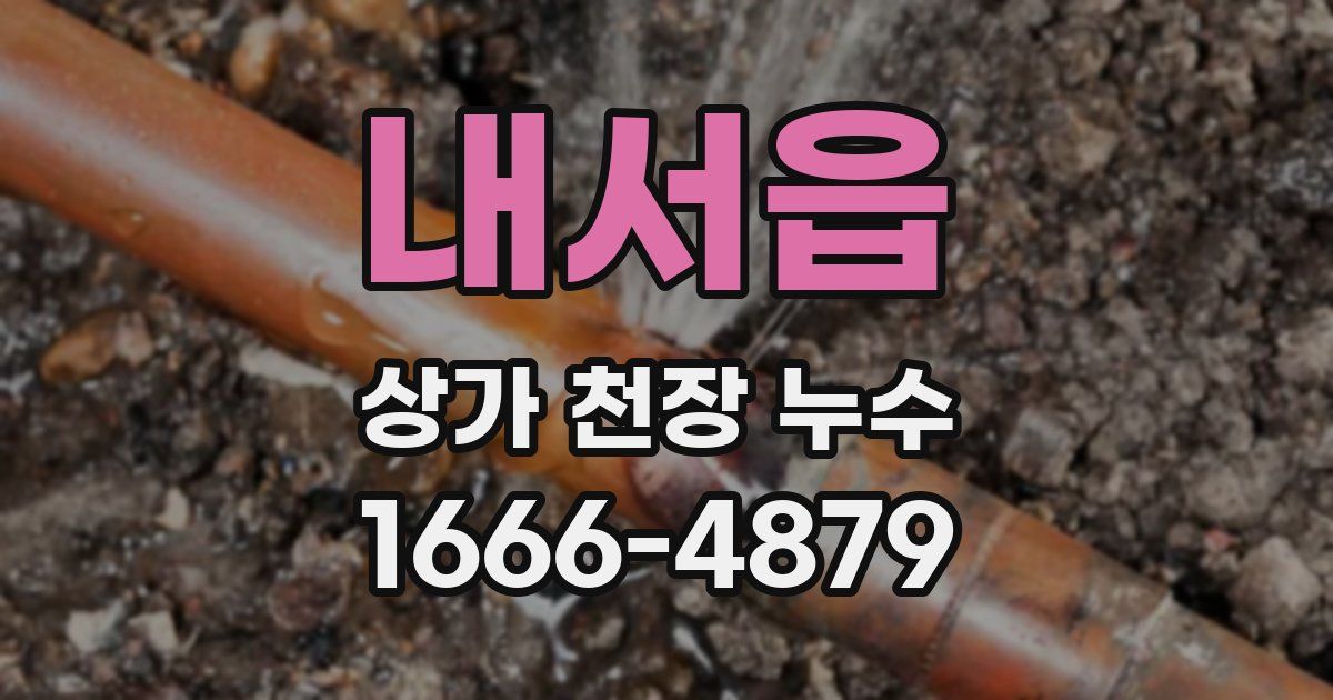 내서읍 상가 천장 누수