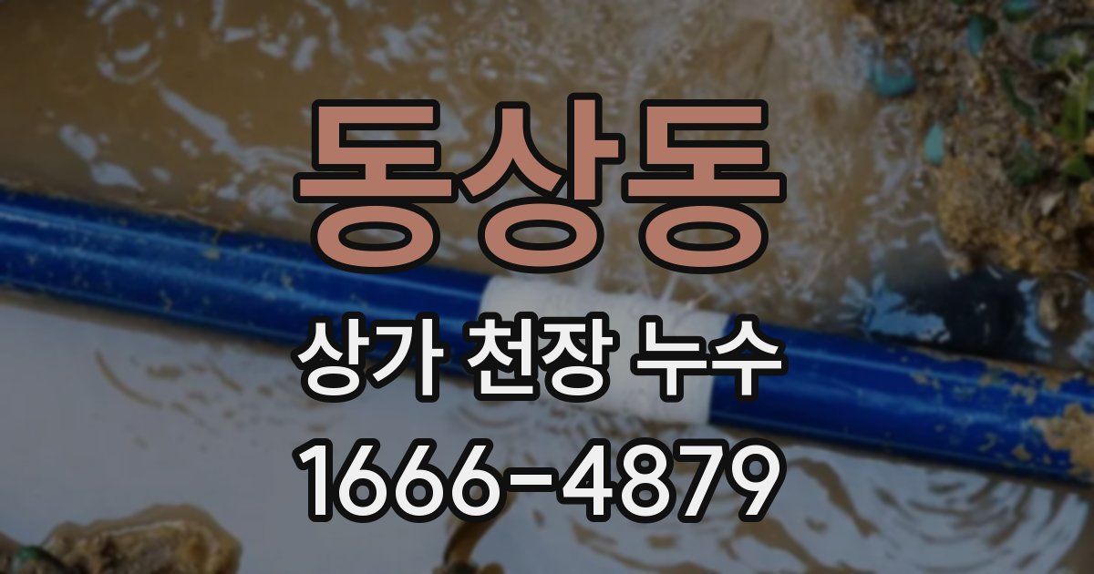 동상동 상가 천장 누수