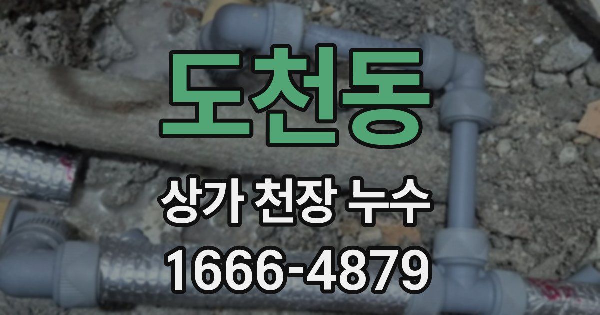 도천동 상가 천장 누수