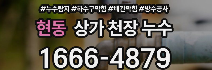 현동 상가 천장 누수