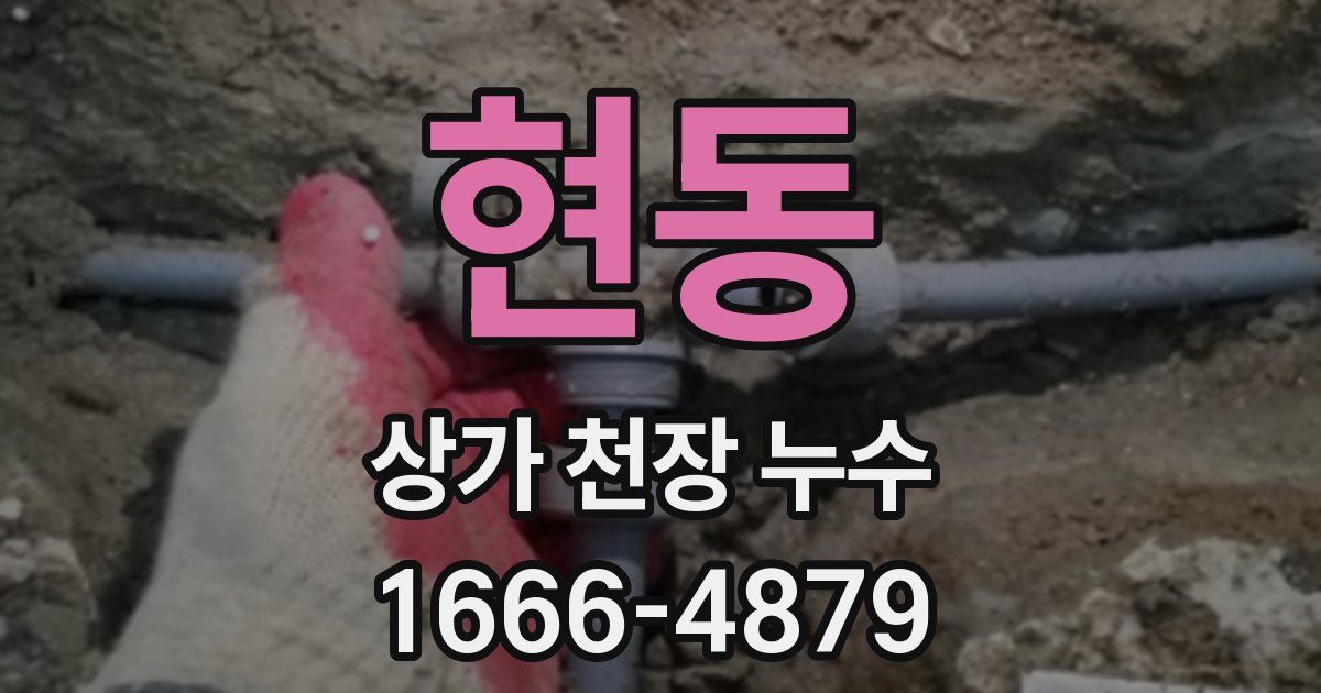 현동 상가 천장 누수