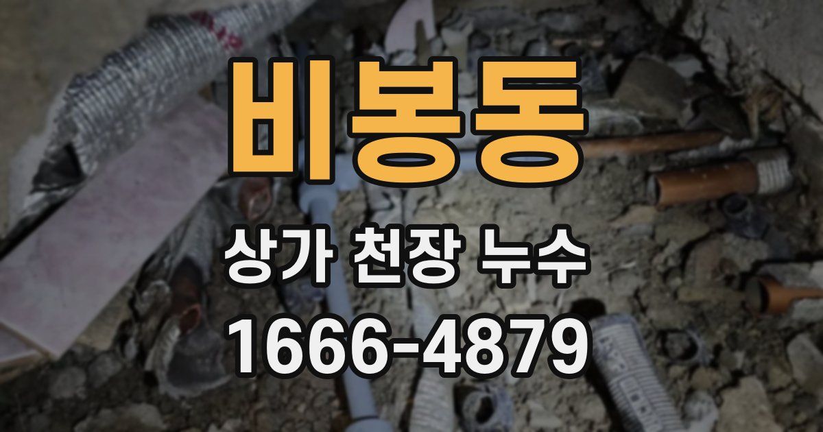 비봉동 상가 천장 누수
