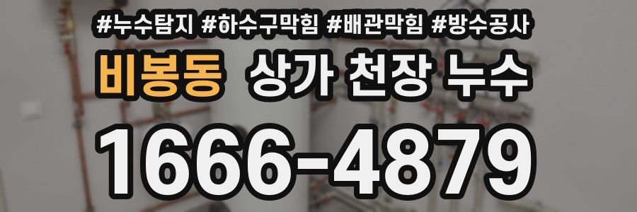 비봉동 상가 천장 누수