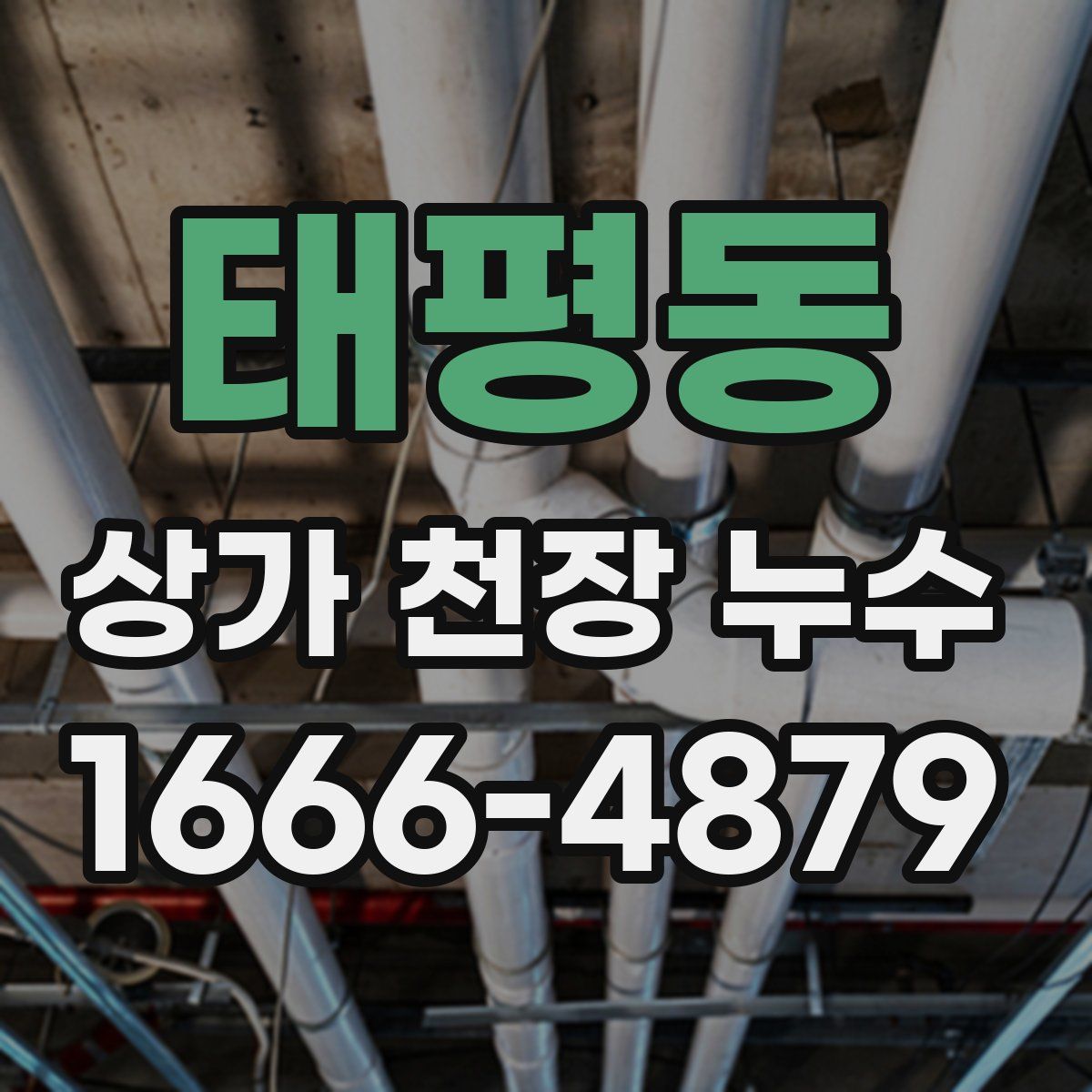 태평동 상가 천장 누수