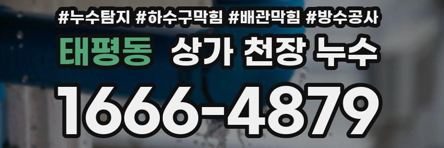 태평동 상가 천장 누수