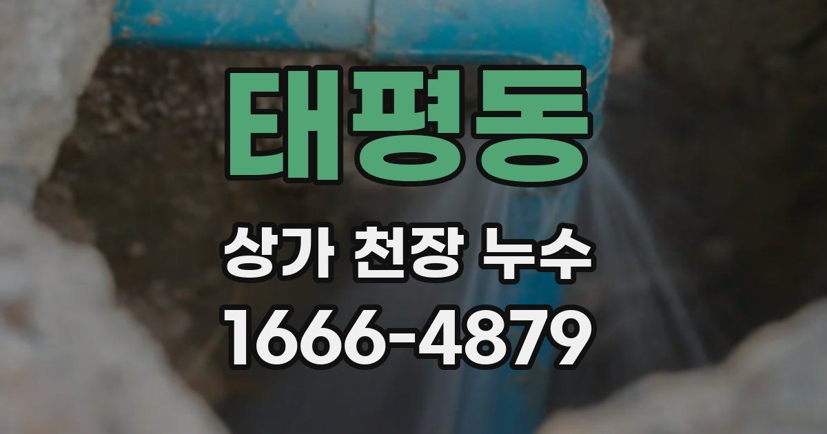 태평동 상가 천장 누수
