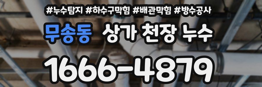 무송동 상가 천장 누수