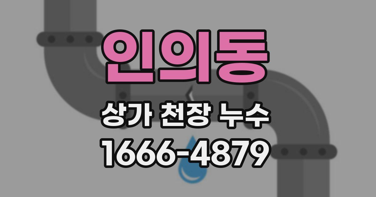 인의동 상가 천장 누수