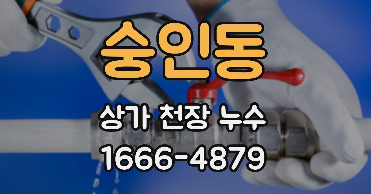숭인동 상가 천장 누수