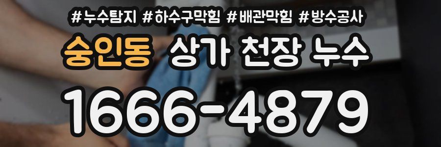 숭인동 상가 천장 누수
