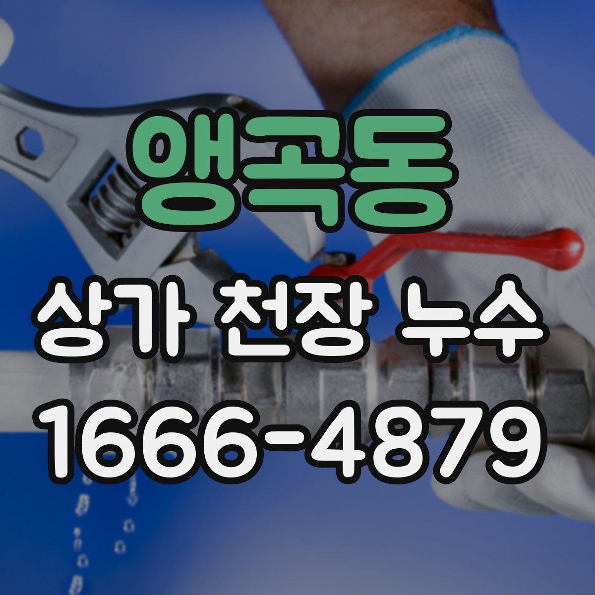 앵곡동 상가 천장 누수