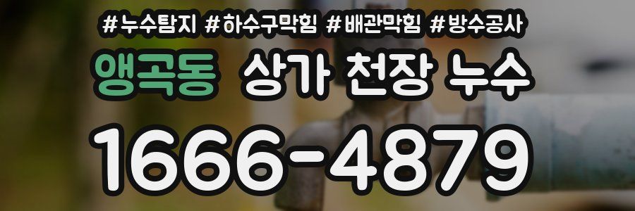 앵곡동 상가 천장 누수